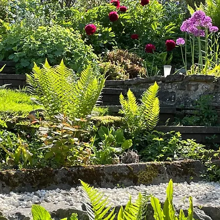 Ellen House Bed And Breakfast-2